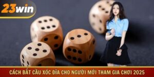 Cách Bắt Cầu Xóc Đĩa Cho Người Mới Tham Gia Chơi 2025